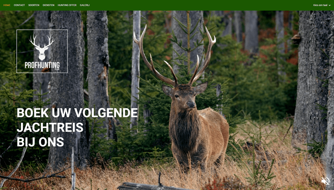 portfolio-details